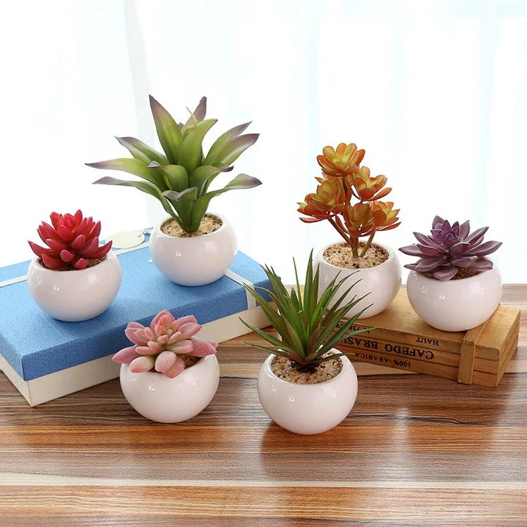 

Assorted Decorative Faux Succulent Artificial Succulent Cactus Faked air Plants with Gray Pots, Set of 5