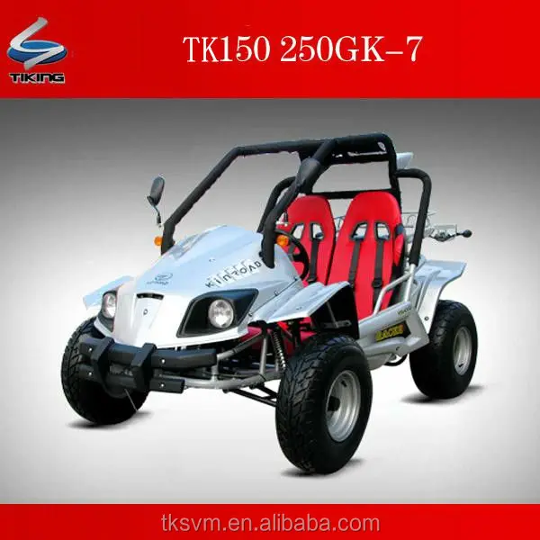 
2 seat dune buggy 