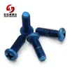 Custom Series Type Anodized Colored Bolt Titanium Screws Phillips Pan Head M7 Titanium Bolts