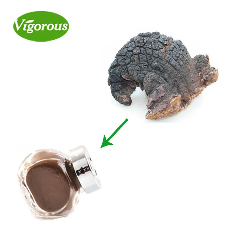 Chaga Mushroom Extract.jpg