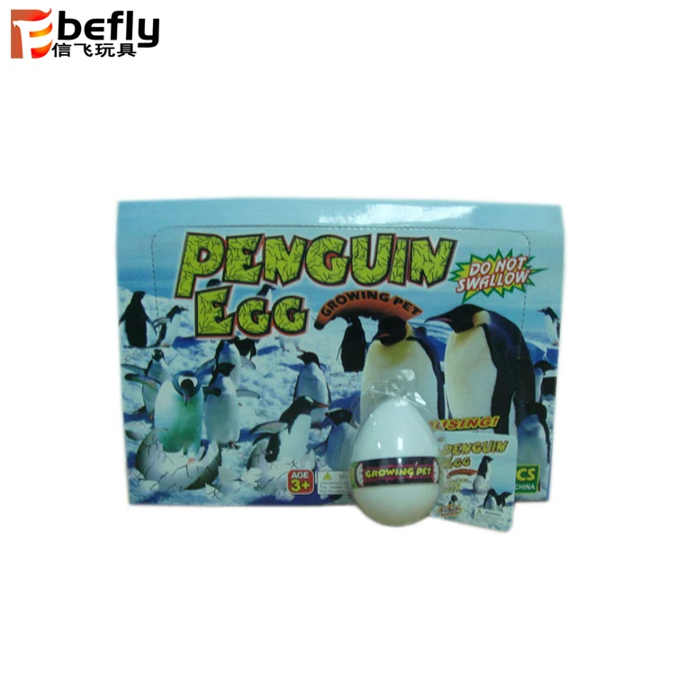 growing penguin egg toy