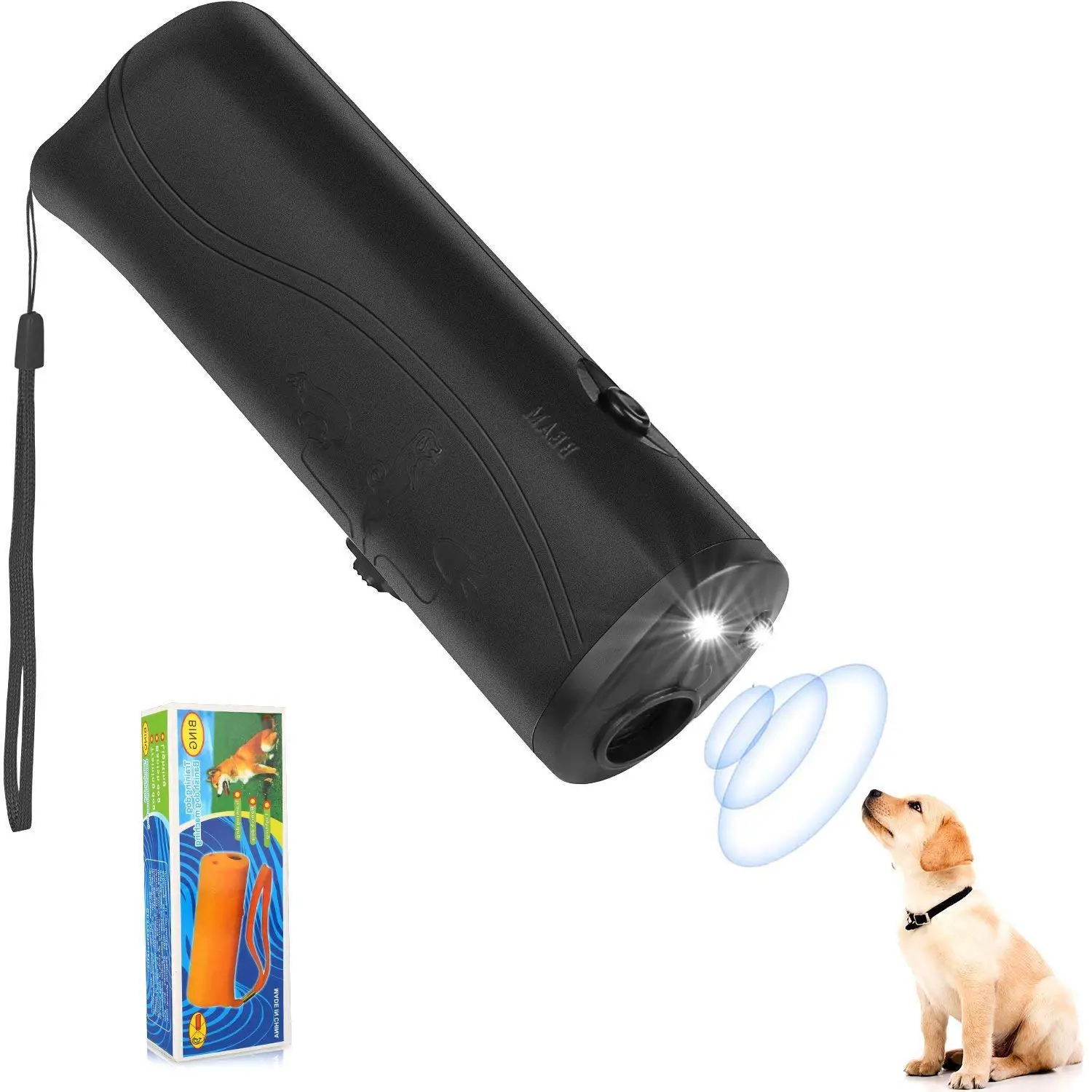 pet details06.jpg