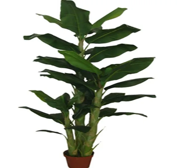 Arbre A Chat En Soie Noir Mini Arbre A Feuilles De Bananier Multifonctionnel Pour L Argent Vente En Gros Buy Arbre A Chat De Feuille De Banane De Paradis Arbre En Plastique Miniature Mini Arbre D Argent Product On