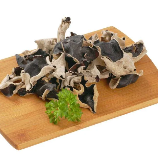 distributor black fungus