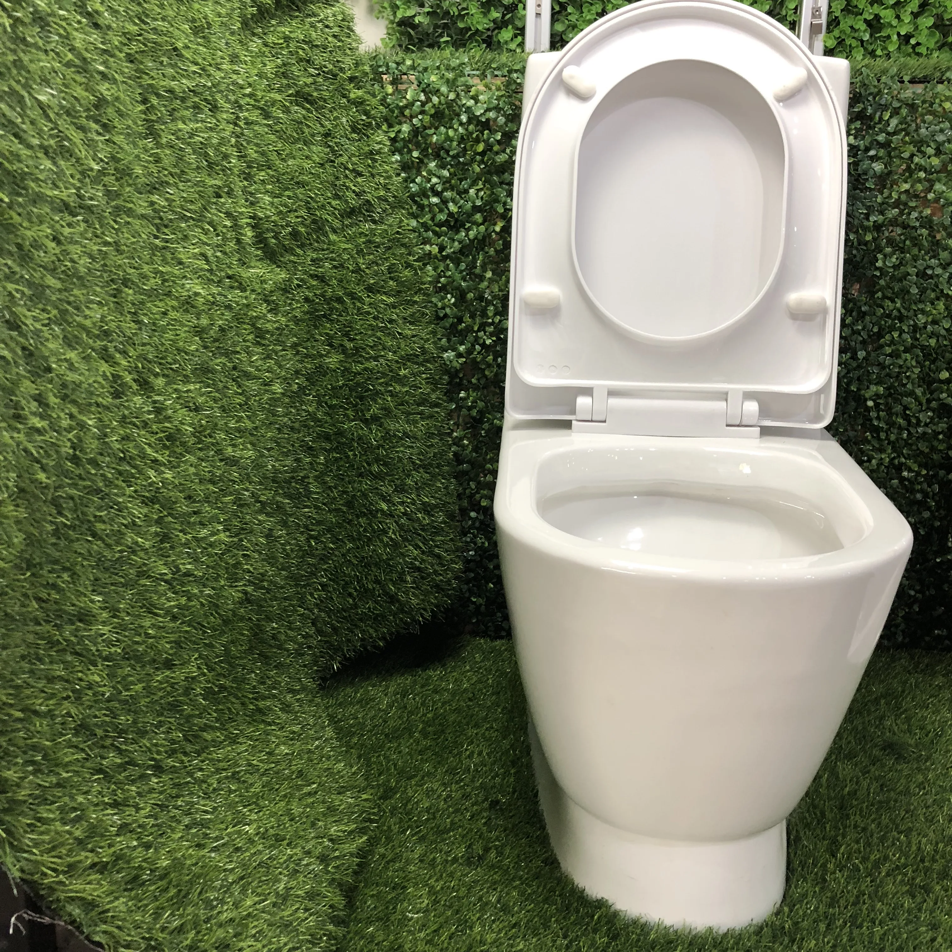 Bathroom WC Ceramic Sanitary Ware Washdown Toilet One piece A-6862