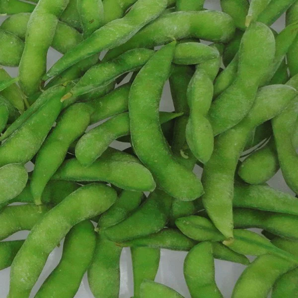 
shelled frozen iqf edamame with pods with good quality 