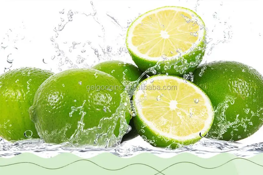 lemon squeezer machine