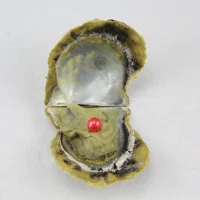 

34 Colors AAA Natural pearl in akoya pearl oyster,6-7mm round pearl,Freshwater Pearl in akoya oysters Vacuum-packed