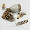 2.8-5.2 Inch (7-13 cm)High Quality Small Size Natural Patterned Pheasant Wing Feather