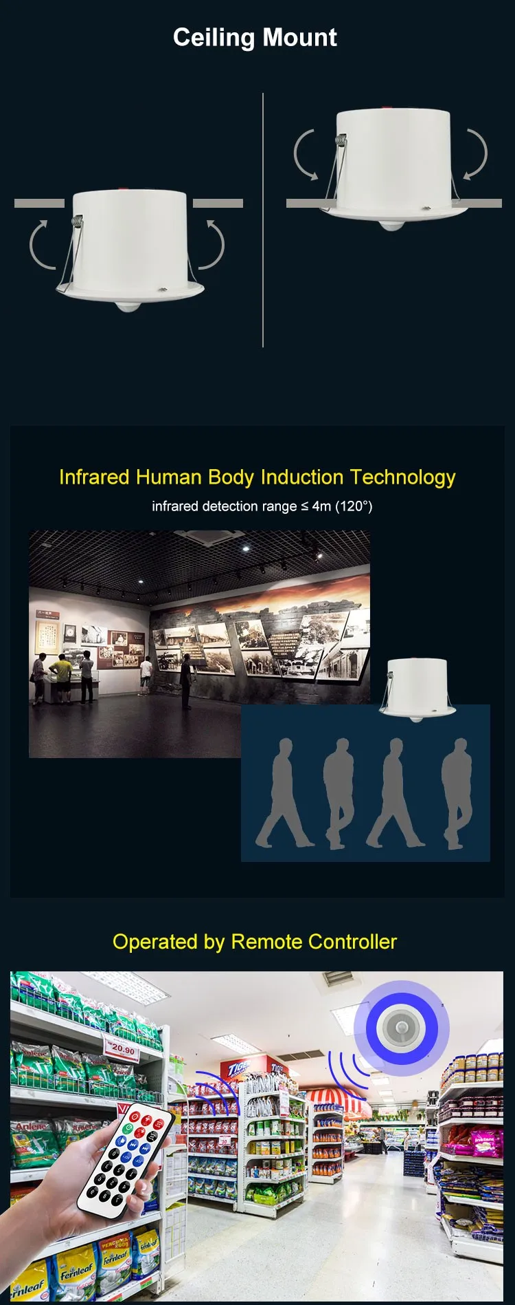 ceiling speaker (1).jpg