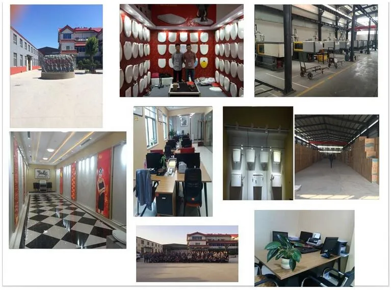 company information.jpg