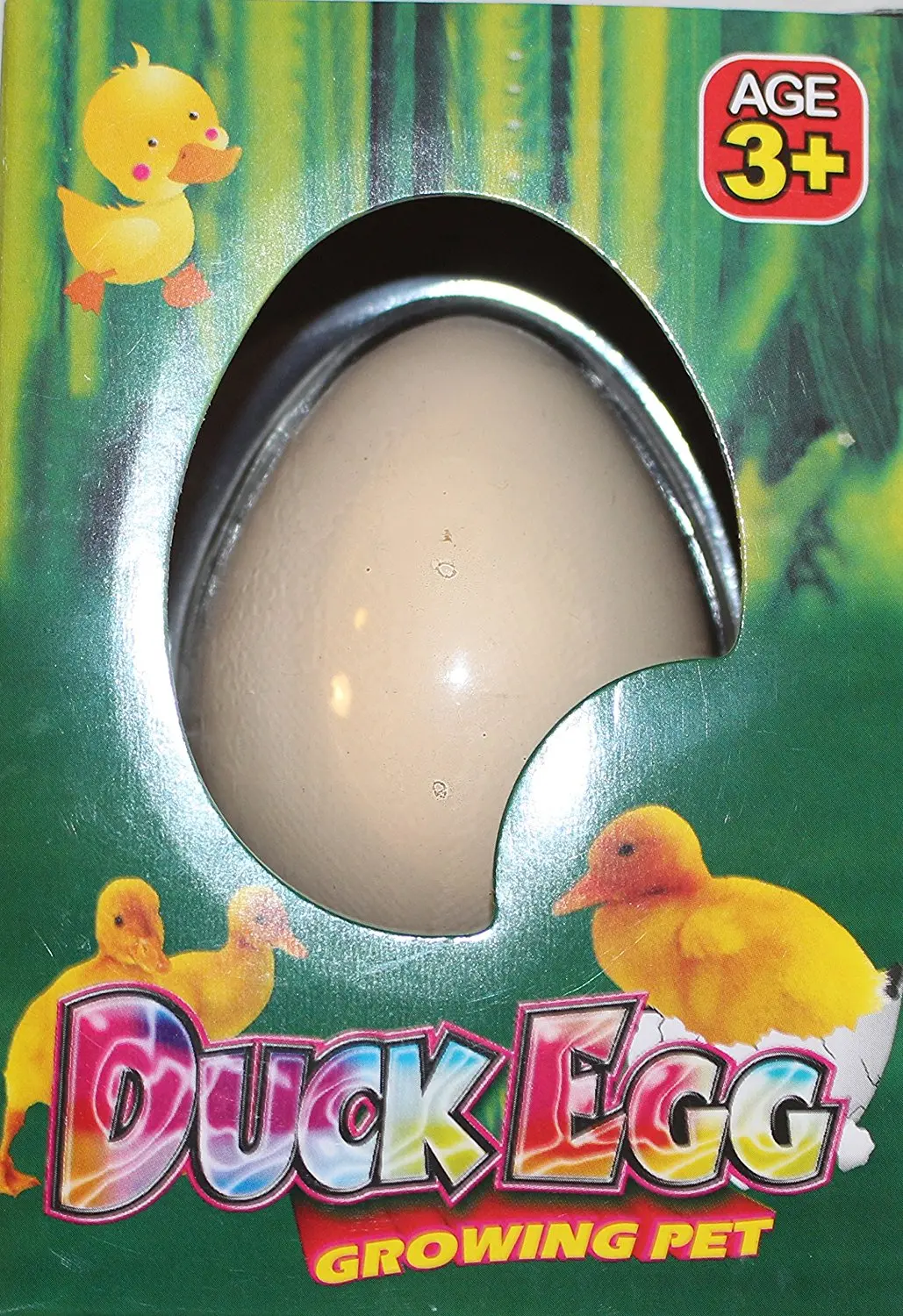 duck egg growing pet