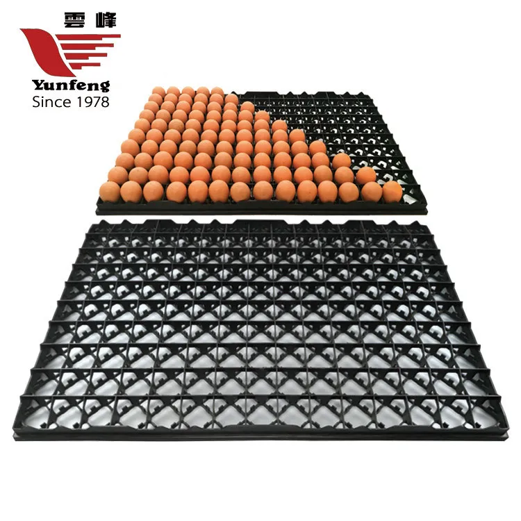 150Egg tray3
