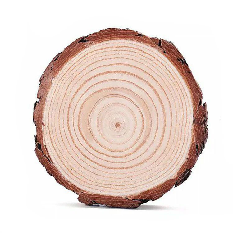 Table Craft Decor Wooden Circles Round Wood Slices Tree Bark Log Natural Pine 
