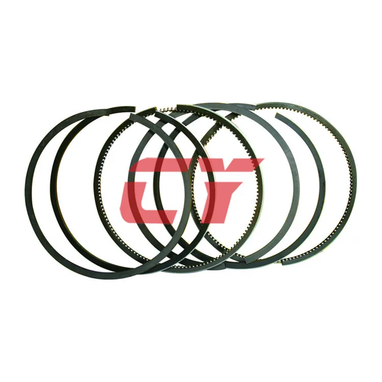6D108-03Piston Ring.jpg