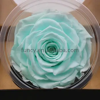 Preserved Diy 10cm Tiffany Blue Color Big Size Enchanted Rose Head