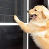 Pet Safe Screen 380g PVC Coated Polyester Pet Insect Screen Mesh for Protection