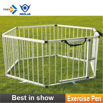 animal emergencies near me