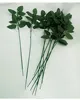 wholesale flower Artificial leaf stem rose stem