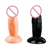 /product-detail/adult-toys-realistic-mini-anal-dildo-with-suction-cup-60812251621.html