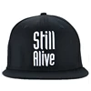 3D embroidery 6 panel wool cap and hat snapback cap inside steam printing cap