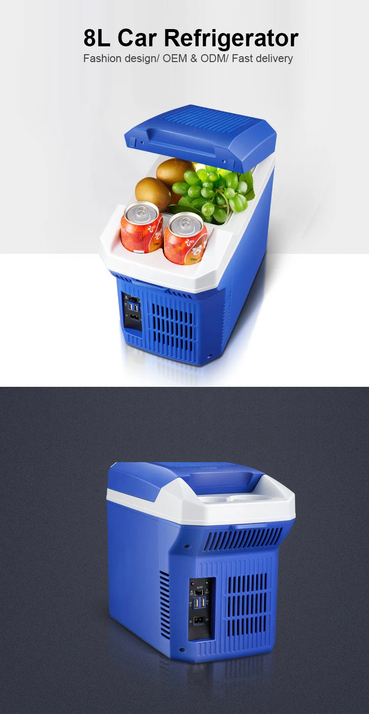 8l Cooler Box For Car And Home,Ac 100v240v Car Cooler Box 12v Buy