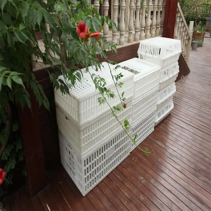 Low Price Plastic Cage For Quail/poultry Transport Cage Buy Quail