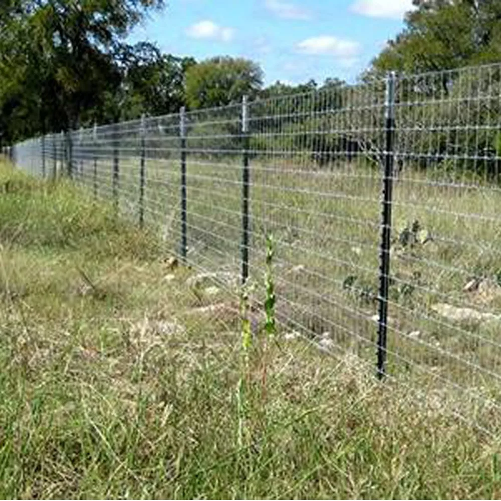 Studded T Posts For Plants Fixing And Farm Fence Supporting Buy