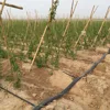 technical support drip irrigation system designer for free
