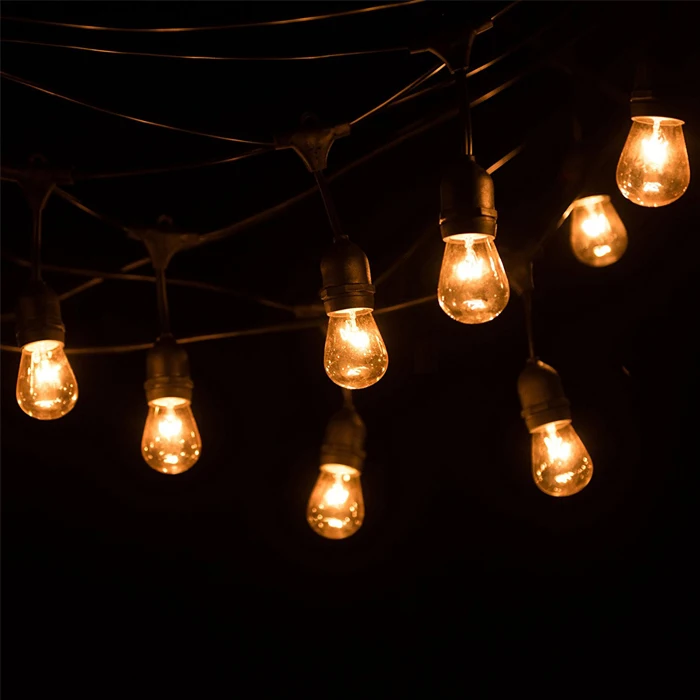 festoon light-2.jpg