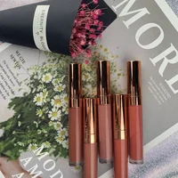 

Private Label 20 Color Matte Makeup Liquid Lipstick Custom Your Brand Long Lasting Vegan Liquid Lipstick