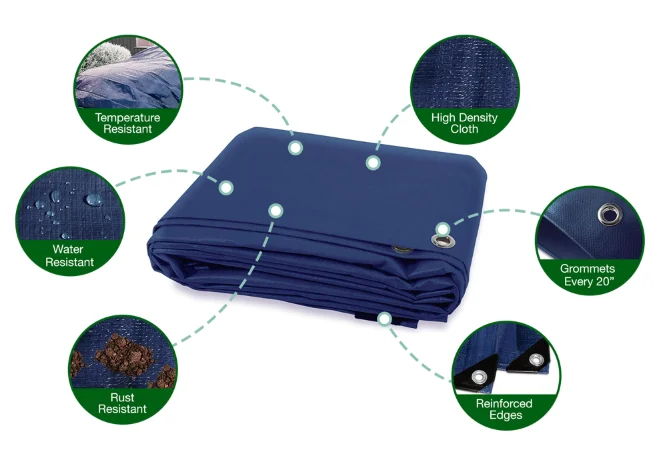 paste-pic-dp_uuid_38cbg