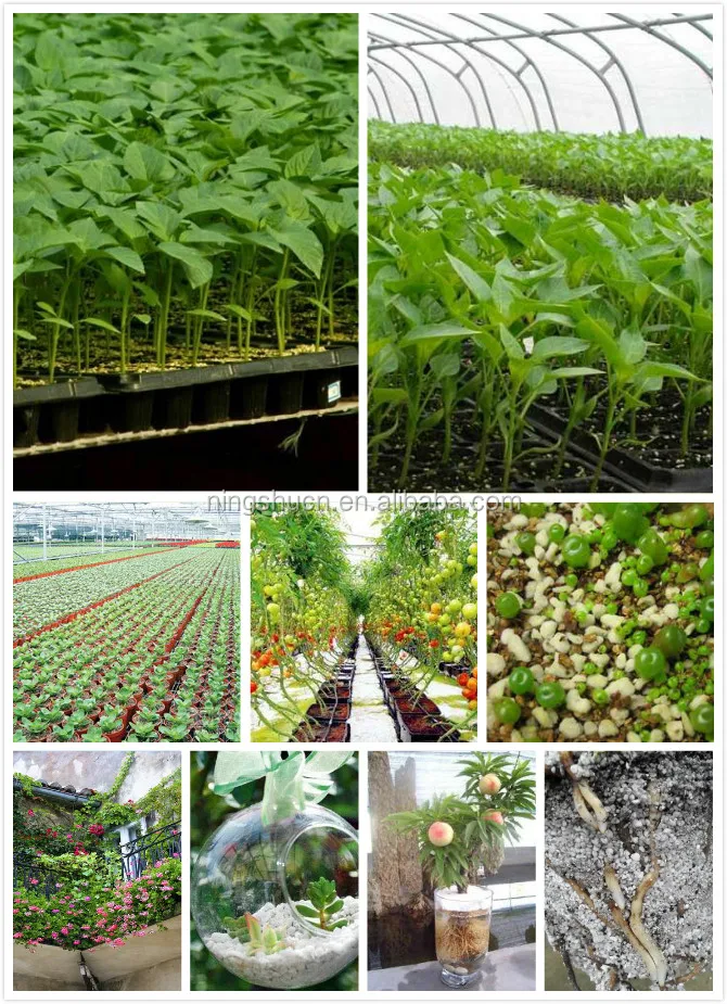 wholesale agriculture perlite growing media/garden s