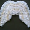 white feather wing with gold foil