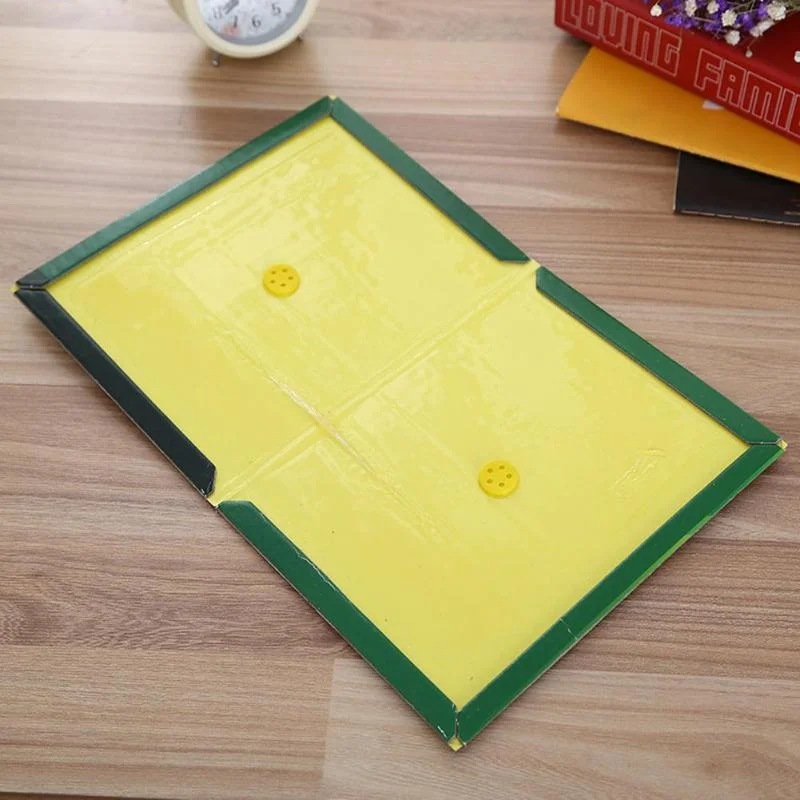 Rat Glue Trap
