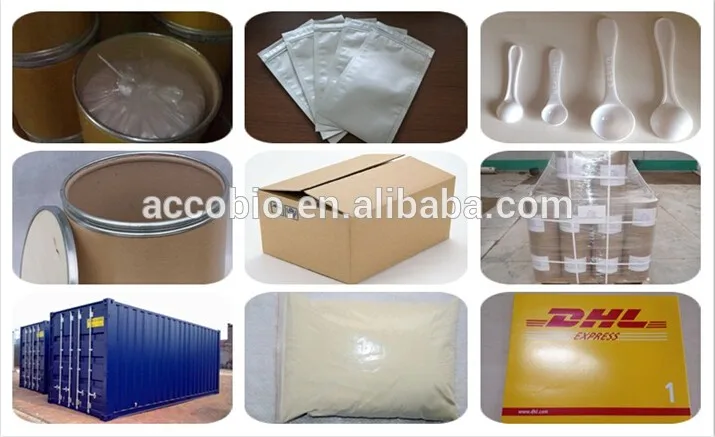 Bulk Powders Fast Act Lactase Enzyme 