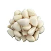 iqf frozen Pure White Garlic dice 4 mm paste puree portion segment cloves good price bulk package