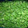 /product-detail/brc-certified-china-frozen-broad-bean-62212046790.html