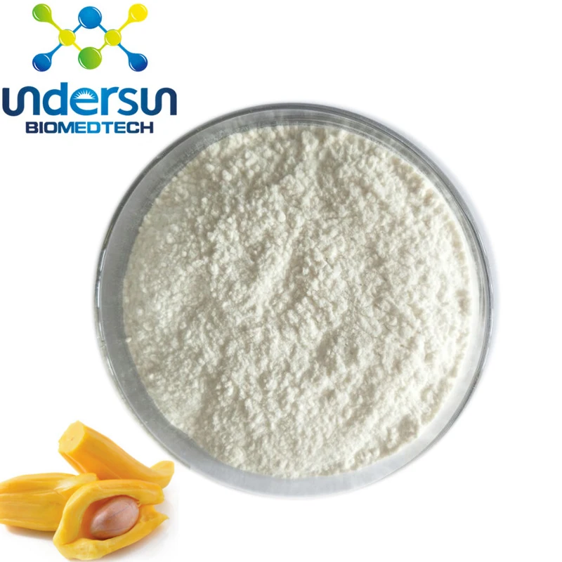 Jackfruit Powder.jpg