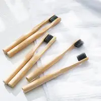

Eco-Friendly Natural Biodegradable Charcoal Round Bamboo Toothbrush for Kids