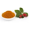 Bulgaria Private Label 100% Natural Anti Inflammatory Vitamin C Food Supplement Rosehip Powder
