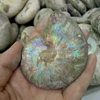 Ideal specimen