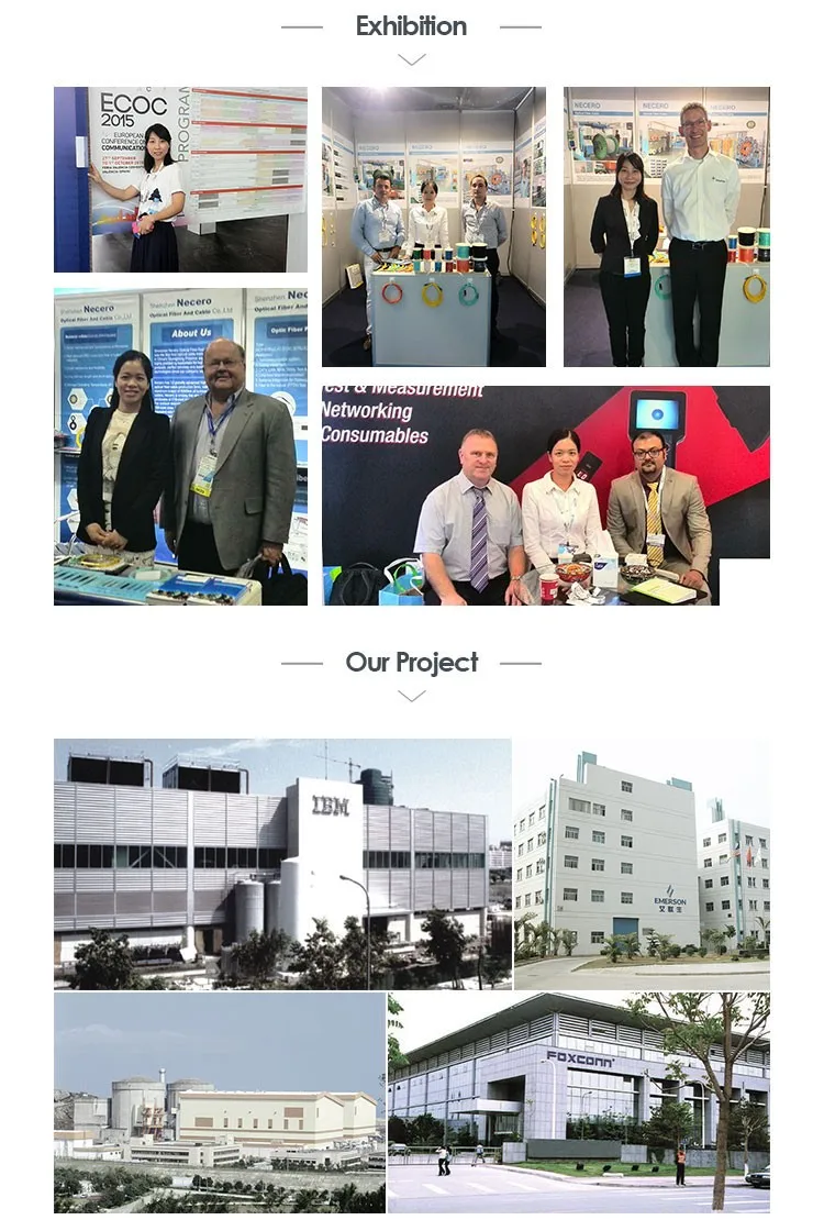 HTB1djR8MXXXXXa7XXXXq6xXFXXXV