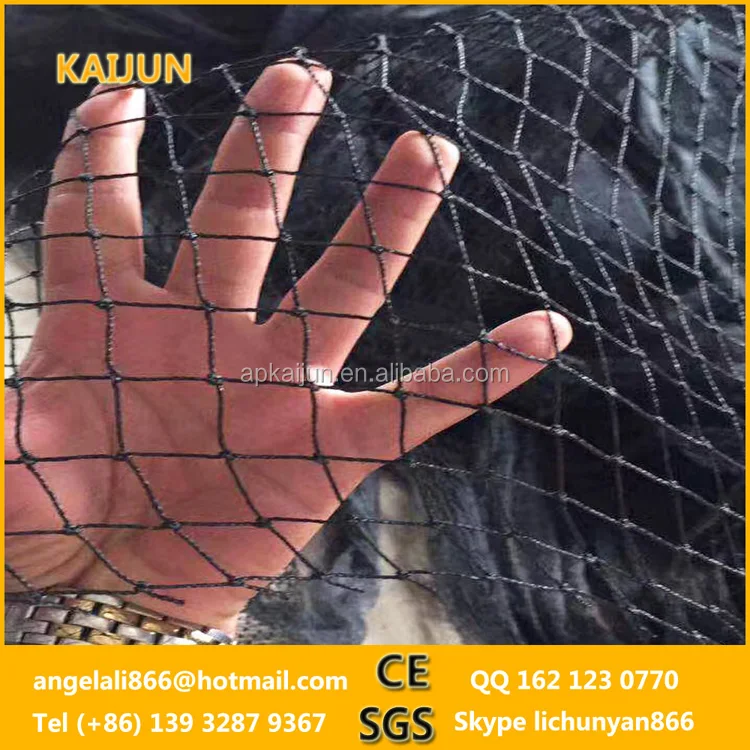 anti-bird net