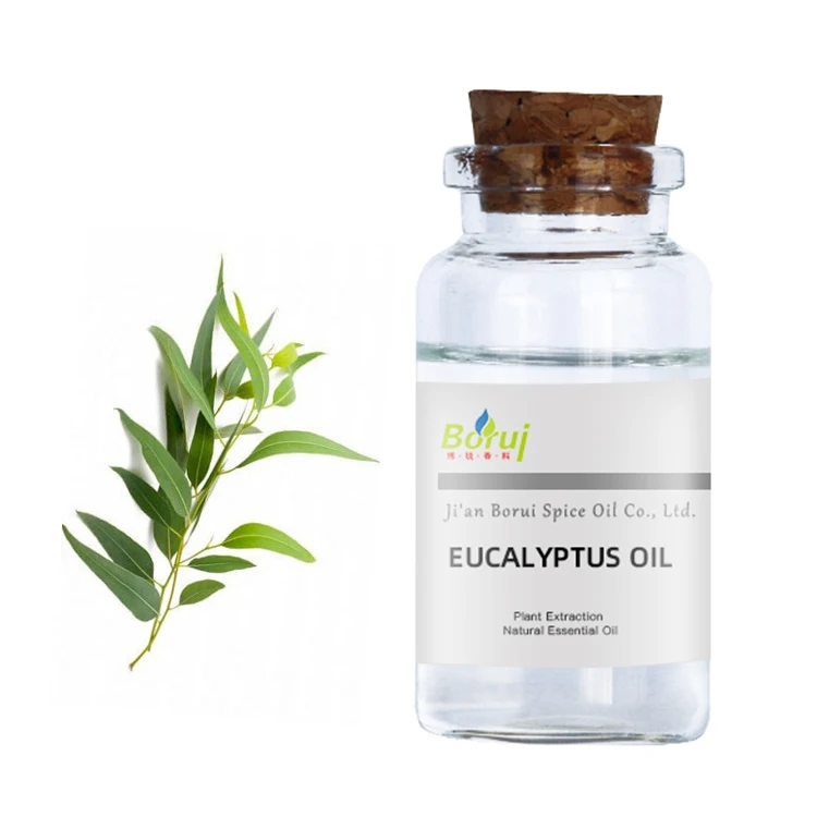 

OEM Private Label Therapeutic Grade Organic Eucalyptus Oil 100% Pure Eucalyptus Essential Oil