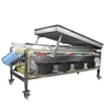 lemon/jujube/onion size sorting machine