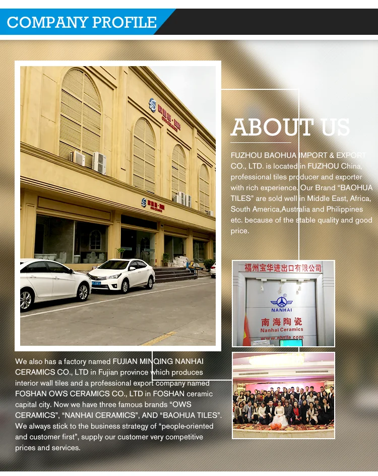 3D Digital Inkjet 400X400 mm floor Tile