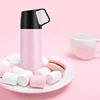 Travel 300ml high quality thermal insulation Cup coating fine appearance vacuum space water bottle