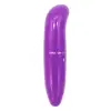 /product-detail/factory-direct-purple-adult-toy-sex-vibrator-for-women-vagina-clitoris-stimulator-portable-mini-g-spot-vibrator-60837424548.html