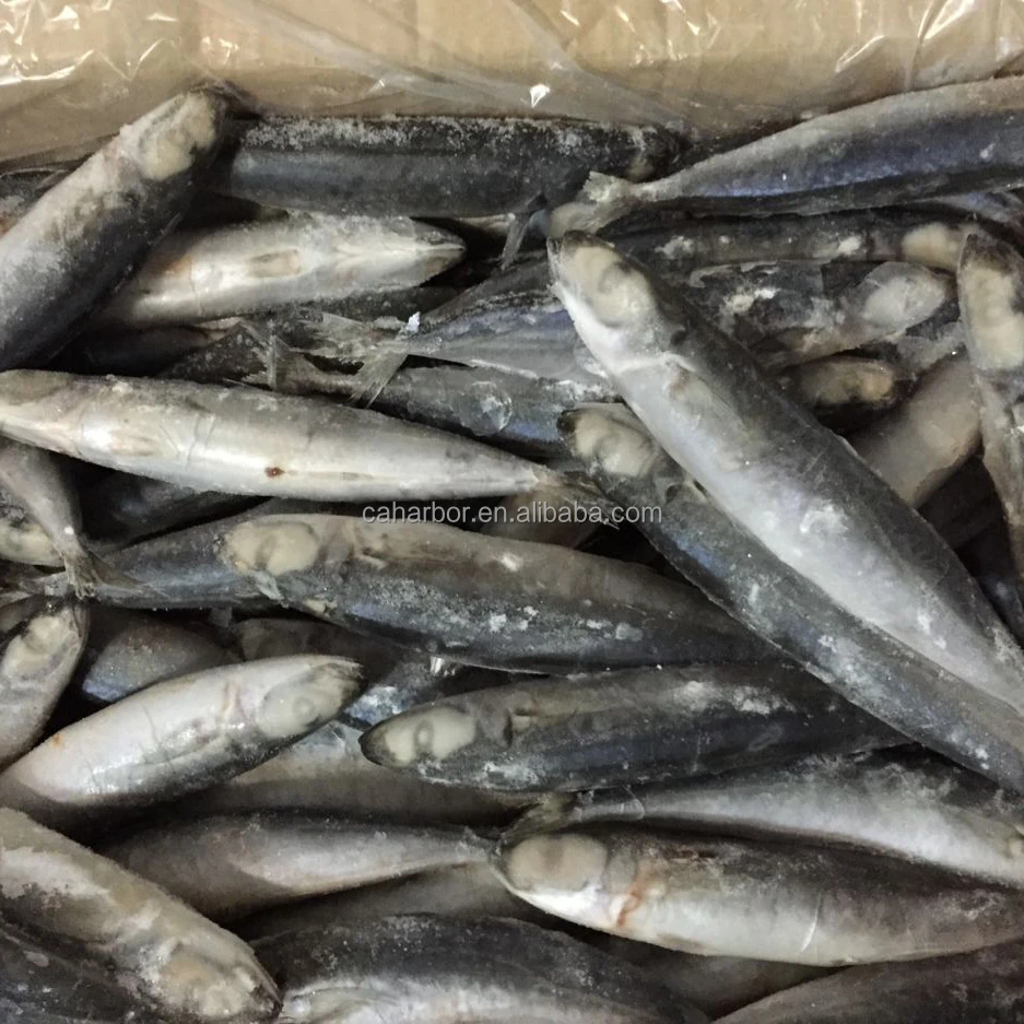 
Fresh mackerel yellow tail round scad China frozen fish  (60728436744)